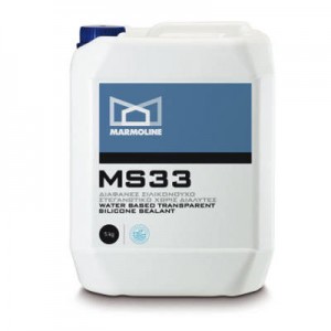 MS 33 photo